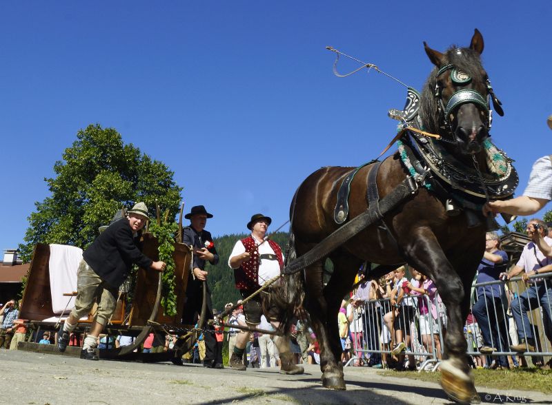 Wildschönauer Talfest - Festumzug