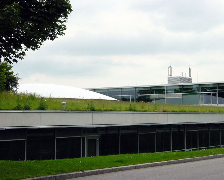 Die „grüne Lunge“ auf dem Dach: Eine solche Wildwiese bietet Lebensraum für Insekten.