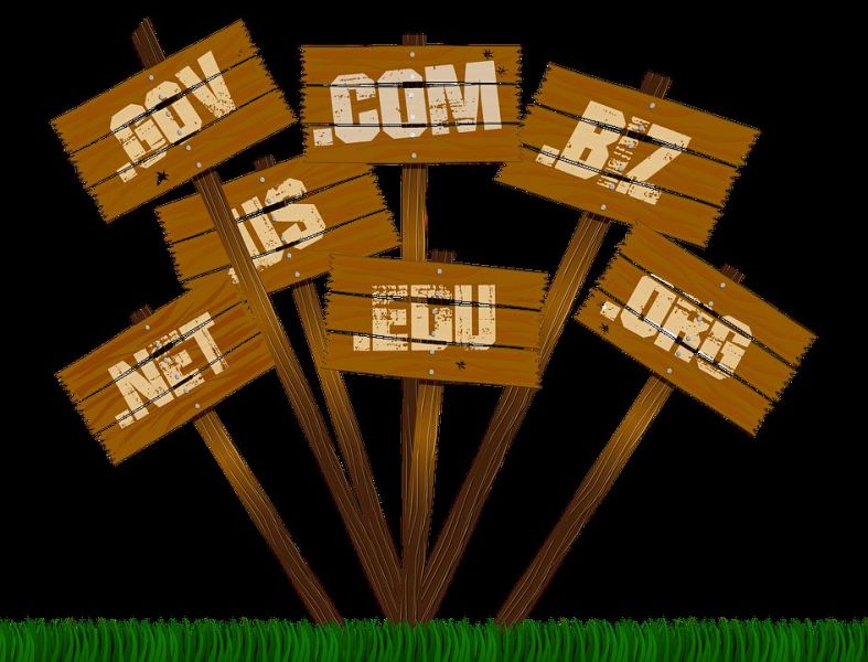 Domains are the crucial issue of website marketing