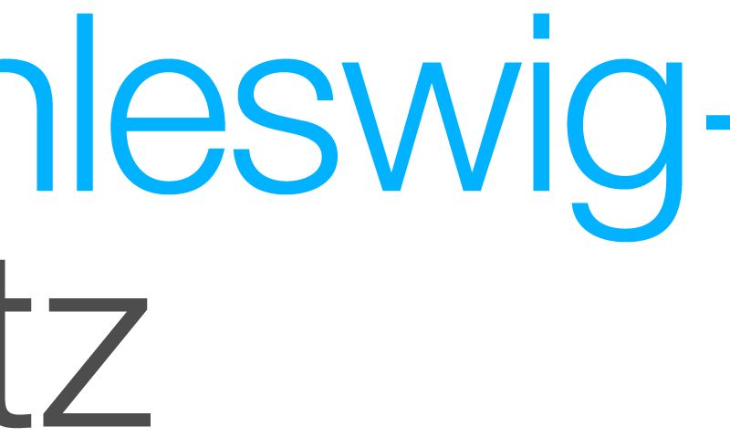 Logo Schleswig-Holstein Netz