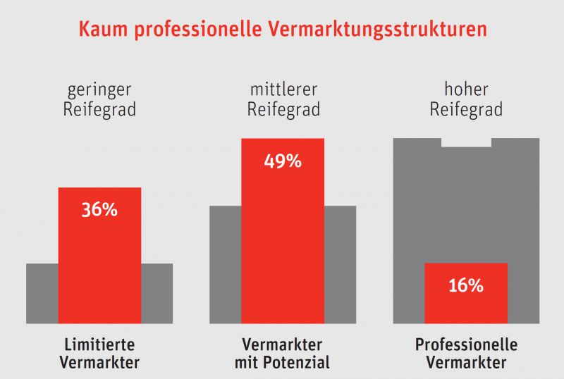 GP+S Reifegrad Vermarkter