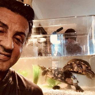 Der Schauspieler behielt die Schildkröten aus dem ersten Film. Die beiden Tiere leisten ihm seit 44 Jahren Gesellschaft. Sylvester Stallone