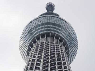 Die Spitze des Tokyo Skytree, des höchsten Fernsehturms der Welt. Foto: Everett Kennedy Brown Tokio Skytree
