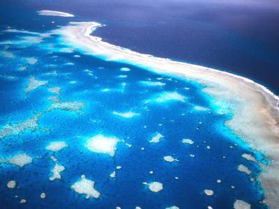 Luftaufnahme des Great Barrier Reef vor der Küste Australiens. Great Barrier Reef