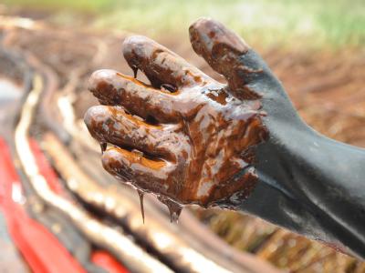 Die Ölpest vor der US-Küste ist die Schlimmste der Geschichte. Ölverschmierter Handschuh