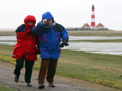 Spaziergänger trotzen auf Eiderstedt in Schleswig-Holstein dem Wind. (Archivbild) Gut festhalten
