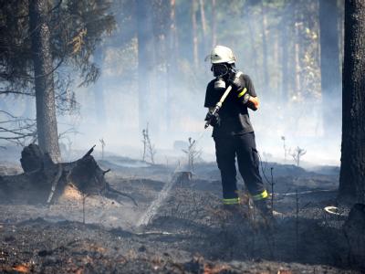 Bei Harmelingen brannte es auf mehr als 95000 Quadratmetern Fläche, etwa 300 Feuerwehrleute waren im Einsatz. Waldbrände