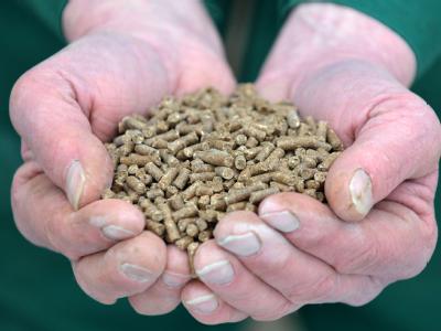 Futterpellets, wie sie in der Viehwirtschaft eingesetzt werden. Futterpellets