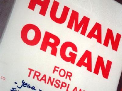 fünf Patienten wurden Herz, Leber, Lunge sowie zwei Nieren eines HIV-Infizierten transplantiert. (Archivbild- und Symbolbild) Container für Spenderorgane
