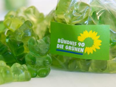 Die Grünen müssen sich auf Kompromisse einstellen. Grüne