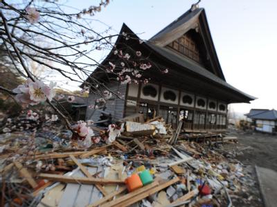 Wieder wurde Japan von einem schweren Beben erschüttert. Buddhistischer Tempel