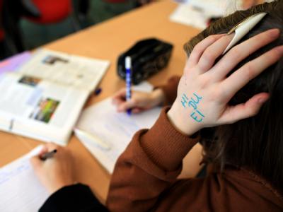 Eine Schülerin an einer Hauptschule Fast eine halbe Millionen 15-Jähriger machte bei der PISA-Studie mit. PISA-Studie 2010