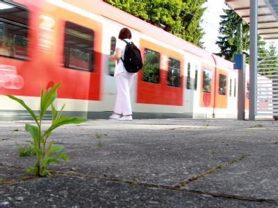 Eine S-Bahn fährt am an der Stelle am S-Bahnhof München-Solln vorbei, an der der Geschäftsmann Dominik Brunner zu Tode geprügelt wurde. S-Bahn-Zugführer als Zeuge im Brunner-Prozess