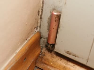 Nach Ansicht des Bundesgerichtshofs können die Mieter die Mietzahlungen erst verweigern, wenn sie ihrem Vermieter den Mangel angezeigt haben. (Archivbild) Schimmelbefall