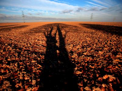 Seit Beginn der bundesweiten Aufzeichnungen 1951 schien die Sonne nur im Herbst 1959 und 2005 länger. Foto: Oliver Berg Trockener Herbst