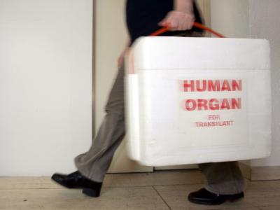 Nach DSO-Angaben warten 12.000 Menschen in Deutschland auf ein Spenderorgan. Foto: Frank May/Archiv Organspende
