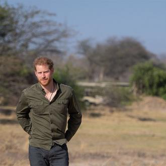 Der Prinz und sein Bruder sollen gute sowie schlechte Tage haben. Die Royals sollen sich gut verstehen und immer miteinander verbunden sein. Prinz Harry