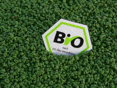 Nicht überall wo «Bio» draufsteht, ist auch «Bio» drin. Foto: Patrick Pleul Biosiegel