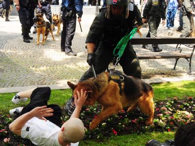Ein Homosexuellen-Marsch durch die Altstadt von Bratislava wurde abgesagt, weil die Polizei einer Gruppe aggressiver Neonazis nicht Herr wurde. Polizist und Neonazi