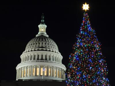 US-Präsident Obama will eine Ratifizierung des Start-Abrüstungsvertrags unbedingt noch in diesem Jahr erreichen. Kapitol in Washington