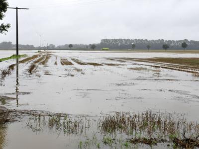 Ein abgeerntetes Feld steht nahe der Ortschaft Metelen (Kreis Steinfurt) unter Wasser. Überschwemmtes Feld