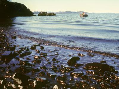 Blick auf einen verseuchten Küstenstreifen in Alaska (Archivfoto vom 31.03.1989). «Exxon Valdez»-Schäden