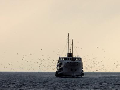Türkische Fähre auf dem Bosporus. Symbolfoto: Tolga Bozoglu Türkische Fähre