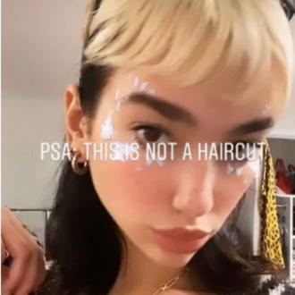 Der Look der Sängerin ist das Ergebnis von ''gebleichtem Haarbruch''. Die Schönheit ist für ihren auffallenden Stil bekannt, doch ihr neuer Look ist nicht gewollt gewesen. Dua Lipa