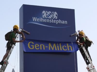 Aktivisten der Umweltschutzorganisation Greenpeace bekleben ein Schild der Molkerei Weihenstephan in oberbayerischen Freising mit der Aufschrift «Gen-Milch» (Archivbild). Greenpeace-Protest
