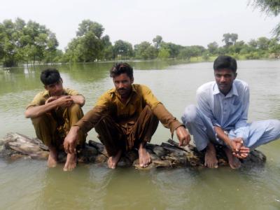 Flutopfer warten nahe der Stadt Muzaffargarh auf Hilfe. Hochwasser in Pakistan