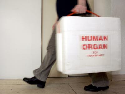 Von den 12 000 Menschen, die in Deutschland auf eine Organspende warten, sterben im Durchschnitt jeden Tag drei. Foto: Frank May/Archiv Organspende