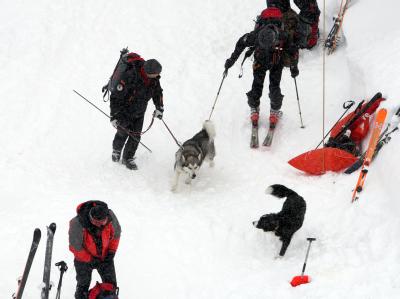 Helfer der Bergwacht suchen auf dem Hochgrat bei Oberstaufen nach Lawinenopfern. Lawinenabgang am Hochgrat