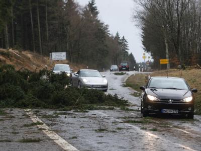 Umgestürzte Bäume blockieren die Bundesstraße 412 in der Eifel in der Nähe des Nürburgrings. Umgestürzte Bäume