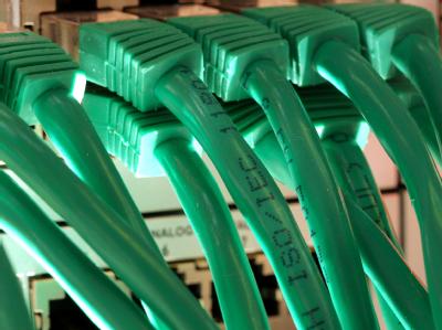 LAN-Kabel an einem Server. Datenkabel