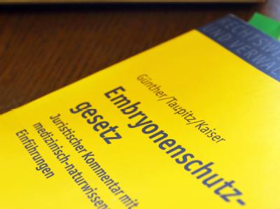 Vor Prozessbeginn in Rostock liegt ein Fachbuch auf dem Tisch von Rechtsanwältin Silke Mettner. Eizellen-Prozess