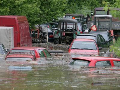 Im polnischen Sandomierz sind zahlreiche Autos unter Wasser gesetzt. Polen kämpft gegen die Flut