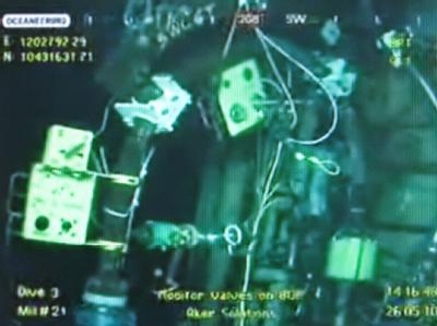 Auf der BP-Website ist das Live-Video der Aktion Livestream im Internet