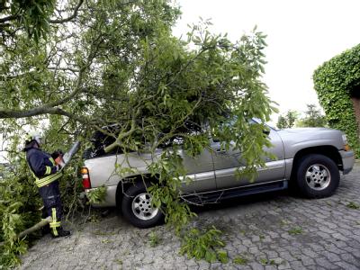 Feuerwehrleute zersägen im ostwestfälischen Hille einen auf ein Auto gestürzten Baum. Eine Windhose hatte schwere Schäden angerichtet. Schäden nach Windhose