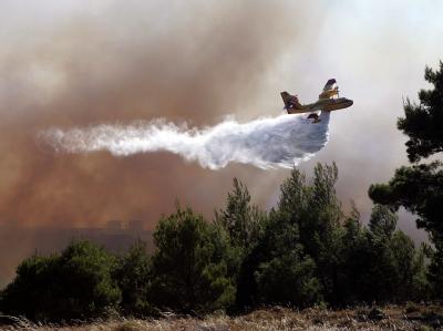 Im Nordosten Athens sind gleich mehrere Waldbrände ausgebrochen. Waldbrände in Griechenland