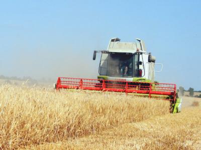 Die verheerenden Waldbrände und die Dürre in Russland könnten nach Einschätzung der deutschen Wirtschaft für Turbulenzen auf den Getreidemärkten sorgen. Getreideernte