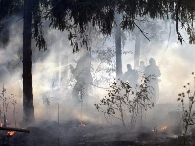 Die russische Feuerwehr beim Kampf gegen die Flammen in der Region Nischni Nowgorod. Waldbrände bei Moskau