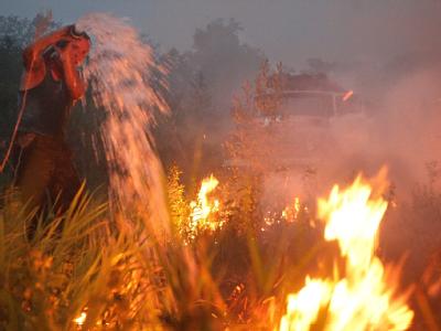 Ein Ende der Feuersbrunst in Russland ist nicht in Sicht. Waldbrände in Russland