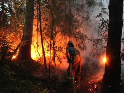 Hunderttausende Helfer versuchen, die verheerenden Waldbrände in Russland einzudämmen. Waldbrände in Russland