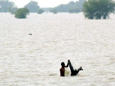 Vom Wasser eingeschlossen: Ein Flutopfer hält sich in Pakistan an einem Baumstamm fest. Hochwasser in Pakistan