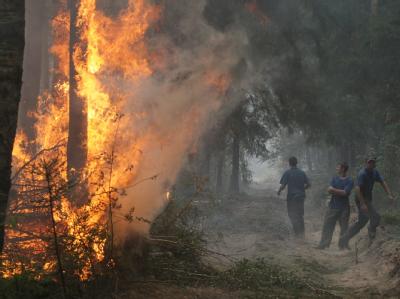 Feuerwehrmänner weichen in einem Waldstück vor den Flammen zurück. Waldbrände bei Moskau