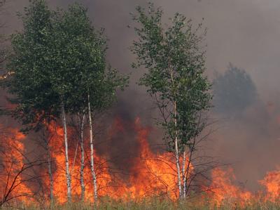 Waldbrände in Russland: Die Flammen sind neu entbrannt. (Archivbild) Waldbrände in Russland
