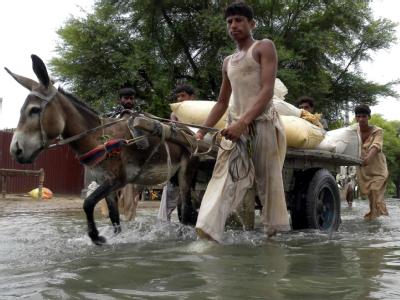 Flutopfer verlassen ihre Dörfer in der überfluteten Provinz Punjab. In Pakistan sind inzwischen 20 Millionen Menschen auf der Flucht vor dem Wasser. Hochwasser in Pakistan