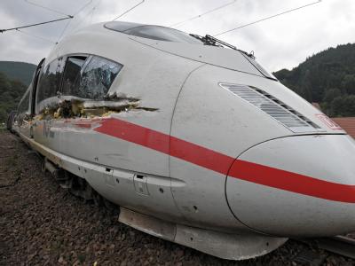 Der Unglücks-ICE war auf dem Weg von Frankfurt nach Paris. ICE kracht gegen Müllwagen