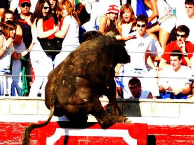 Schrecksekunde: «Quesero» wuchtet seine 500 Kilogramm über die Balustrade in Tafalla. Kampfstier springt auf Tribüne
