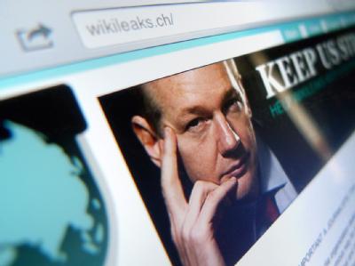 Nach der Festnahme von Wikileaks-Gründer Julian Assange hatten Internet-Aktivisten in den vergangenen Tagen Websites von Unternehmen lahmgelegt,. Wikileaks - Assange
